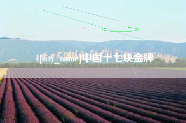 包头中国十七块金牌