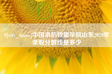 包头中国消防救援学院山东2020年录取分数线是多少