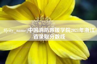 包头中国消防救援学院2021年浙江省录取分数线