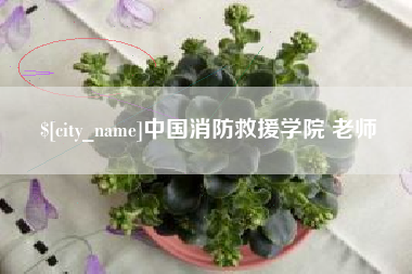 包头中国消防救援学院 老师