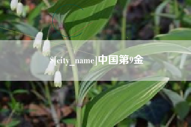 包头中国第9金
