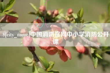 包头中国消防官网中小学消防公开课