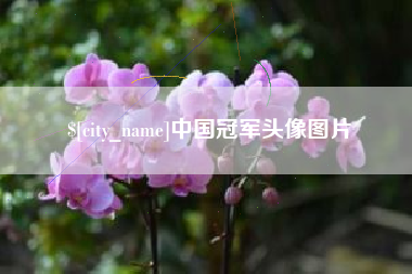 包头中国冠军头像图片