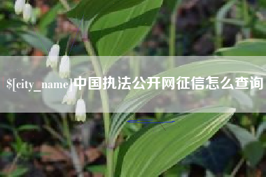 包头中国执法公开网征信怎么查询