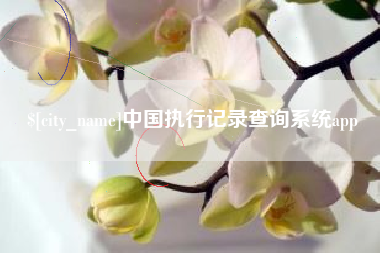 包头中国执行记录查询系统app