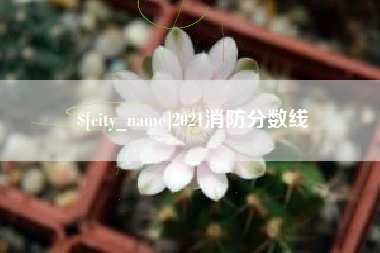 包头2021消防分数线