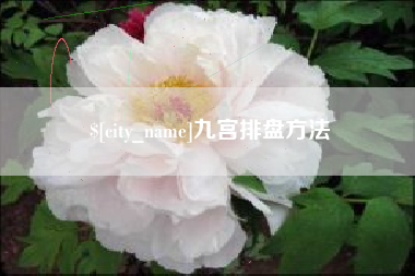 包头九宫排盘方法
