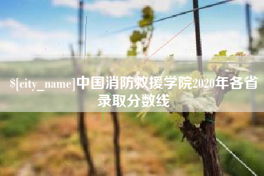包头中国消防救援学院2020年各省录取分数线