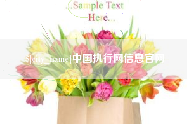 包头中国执行网信息官网