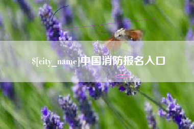 包头中国消防报名入口