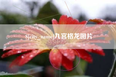 包头九宫格龙图片