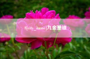 包头九金是谁