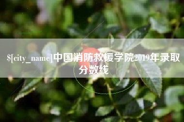 包头中国消防救援学院2019年录取分数线