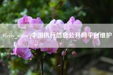 包头中国执行信息公开网平台维护