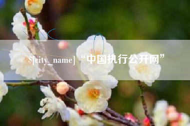 包头“中国执行公开网”