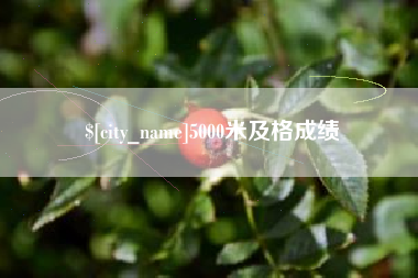 包头5000米及格成绩