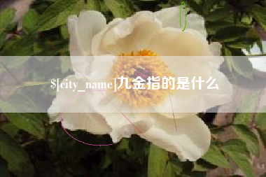 包头九金指的是什么