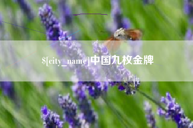 包头中国九枚金牌
