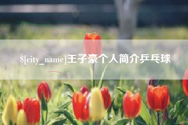 包头王子豪个人简介乒乓球
