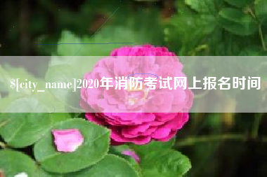 包头2020年消防考试网上报名时间