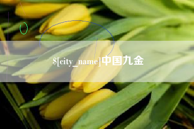 包头中国九金