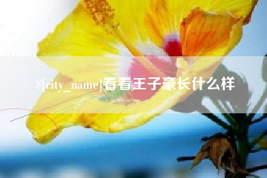 包头看看王子豪长什么样