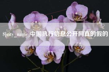 包头中国执行信息公开网真的假的