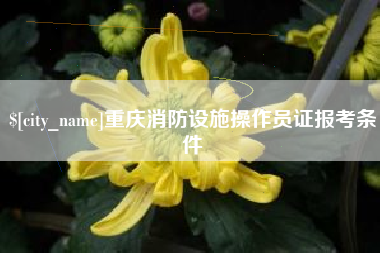 包头重庆消防设施操作员证报考条件