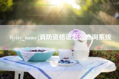 包头消防资格证怎么查询系统