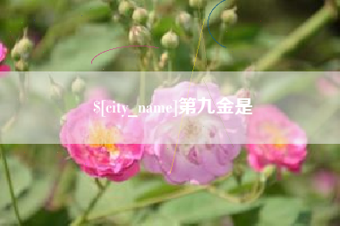 包头第九金是