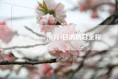 包头11月9日消防日全称