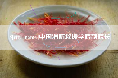 包头中国消防救援学院副院长