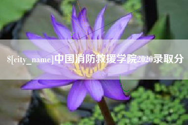 包头中国消防救援学院2020录取分