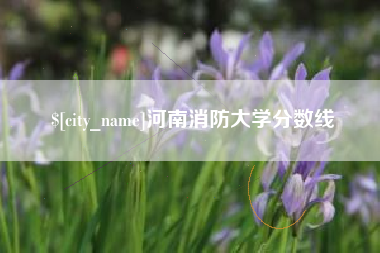 包头河南消防大学分数线