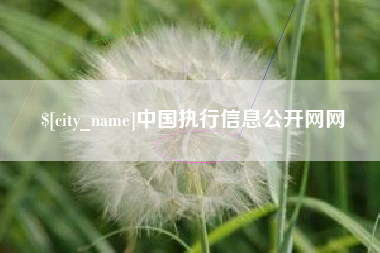 包头中国执行信息公开网网