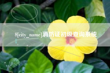 包头消防证初级查询系统