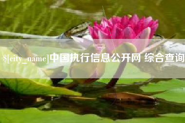 包头中国执行信息公开网 综合查询