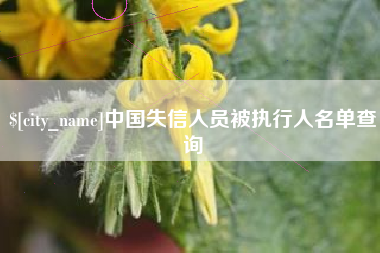 包头中国失信人员被执行人名单查询