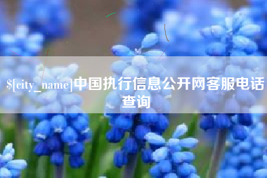 包头中国执行信息公开网客服电话查询
