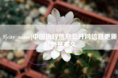 包头中国执行信息公开网信息更新时间是多久