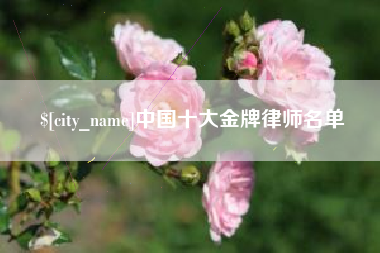 包头中国十大金牌律师名单
