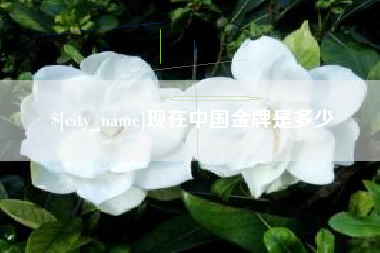 包头现在中国金牌是多少