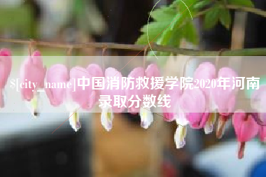 包头中国消防救援学院2020年河南录取分数线