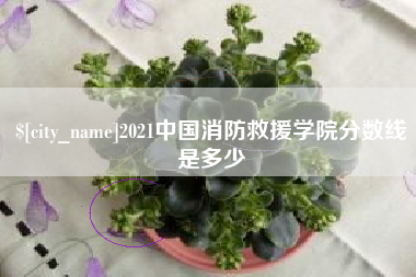 包头2021中国消防救援学院分数线是多少