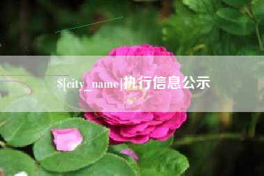 包头执行信息公示