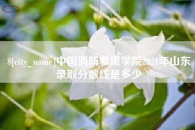 包头中国消防救援学院2021年山东录取分数线是多少