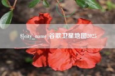 包头谷歌卫星地图2025