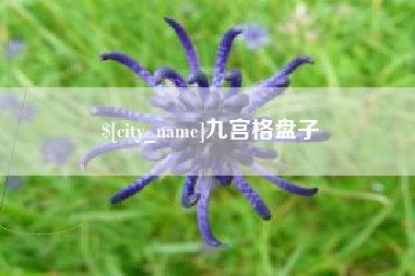 包头九宫格盘子