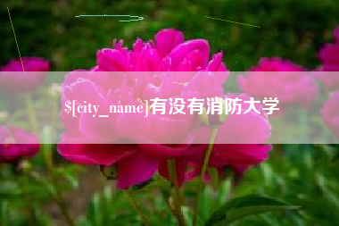 包头有没有消防大学