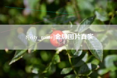 包头金牌图片真实